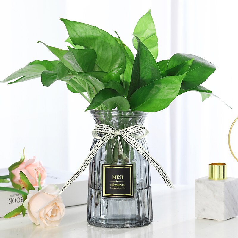 Home Tabletop Glass Vase