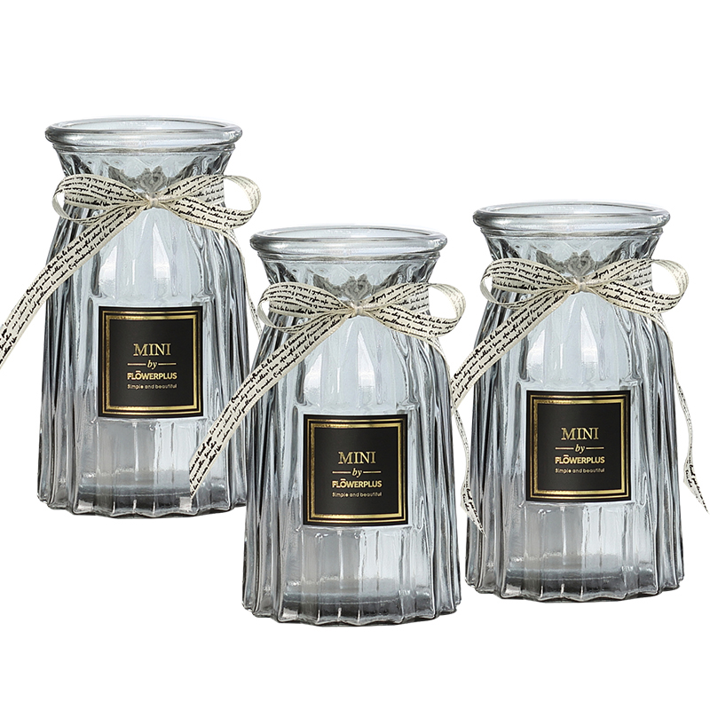 Home Tabletop Glass Vase